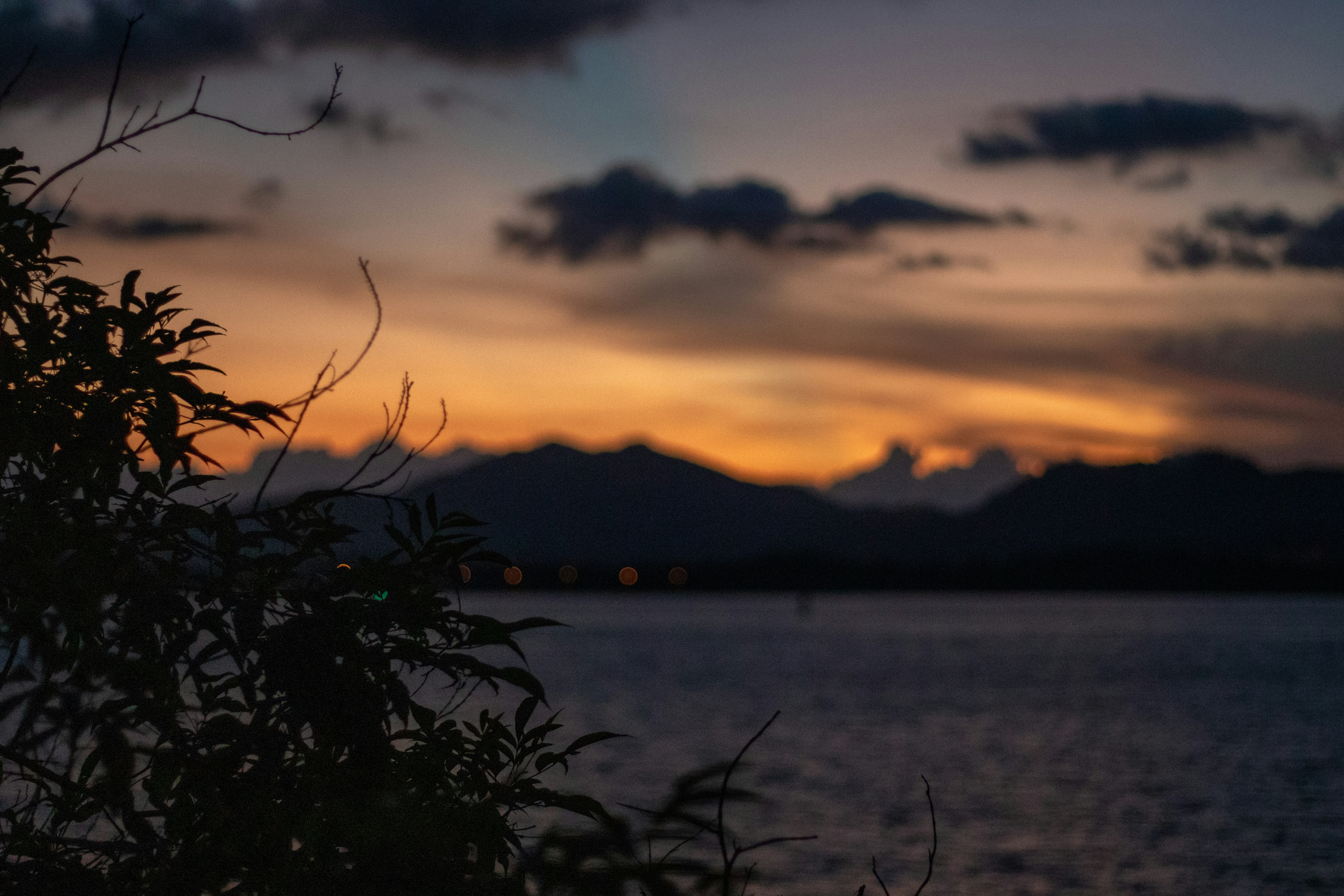 Photo by adrianr507