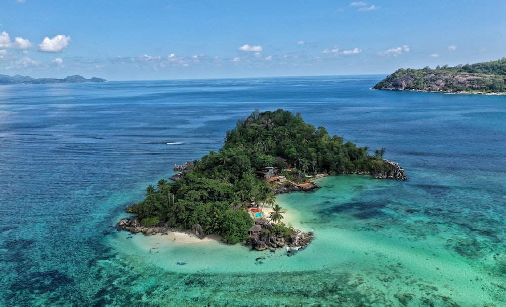 alberi verdi sull'isola durante il giorno