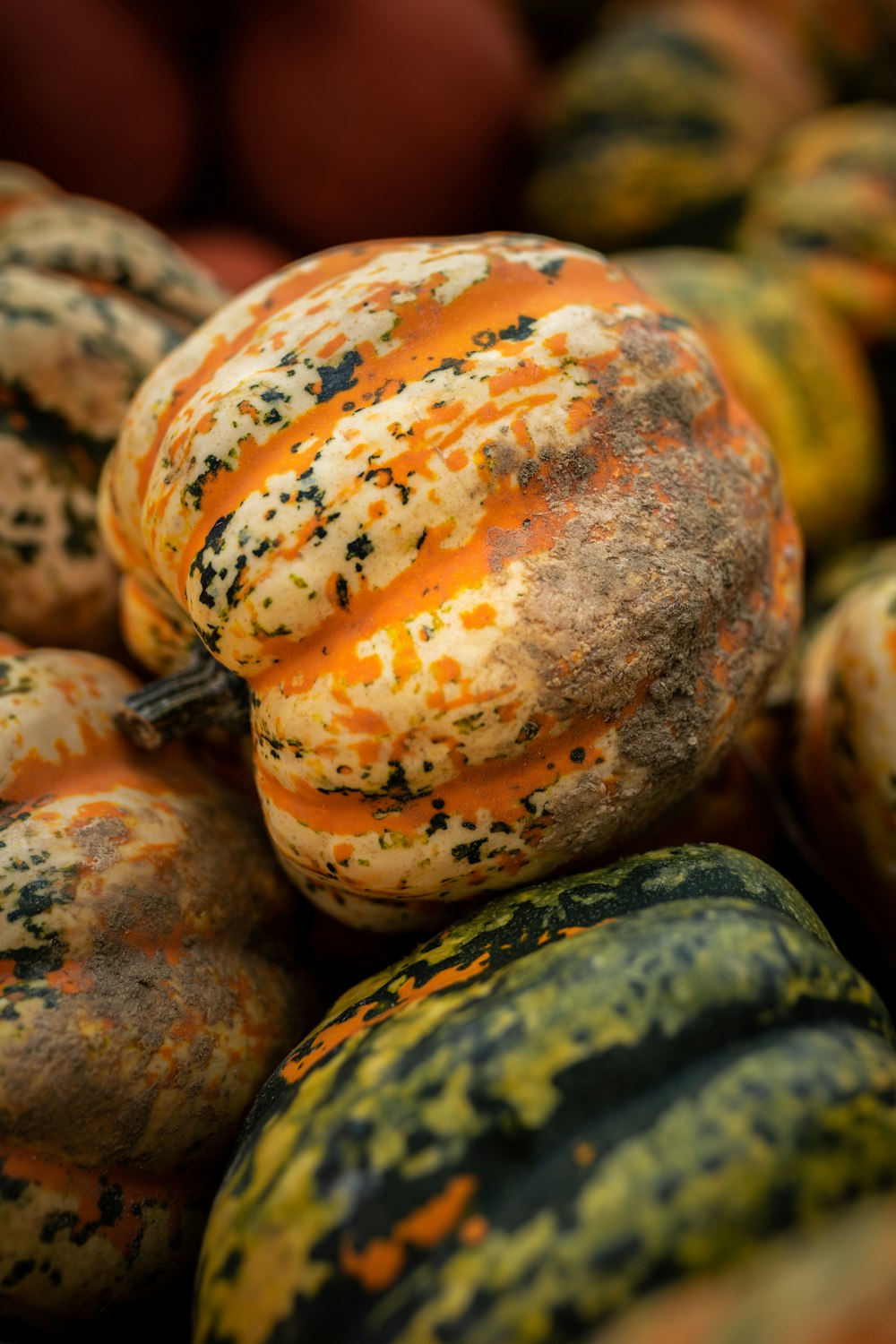 orange and yellow pumpkin vegetable