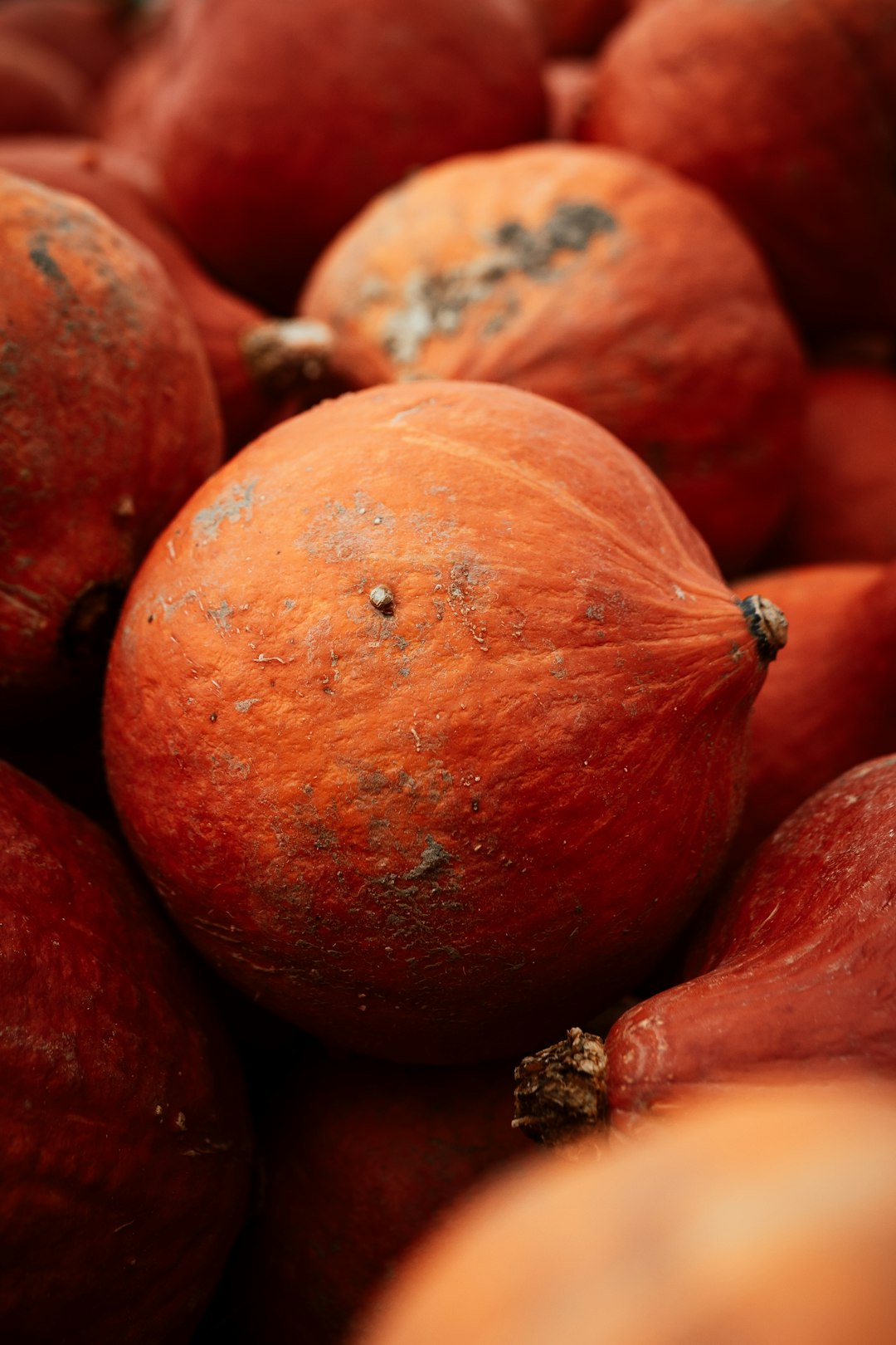 red round fruit on brown wooden table