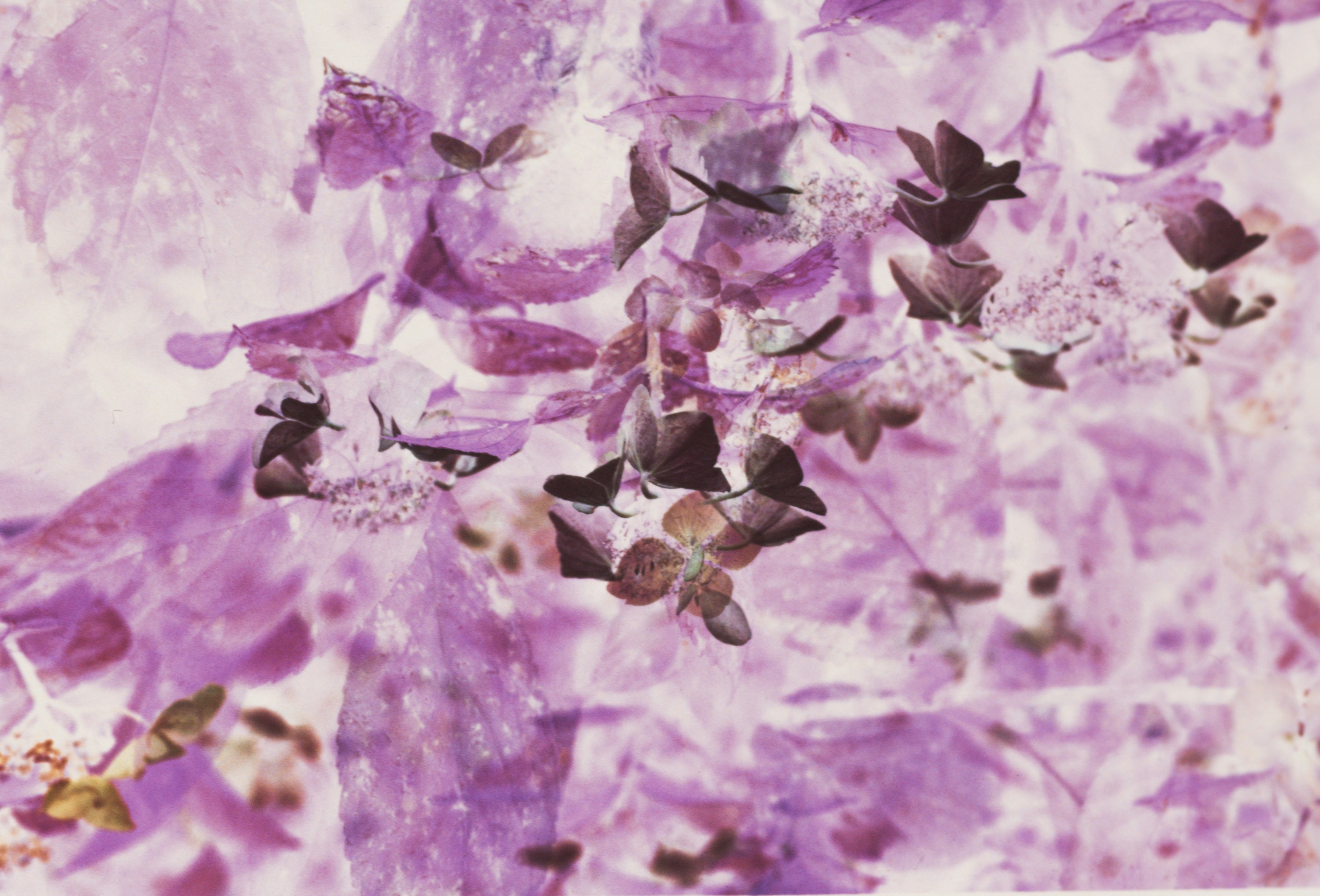 Photo by anniespratt