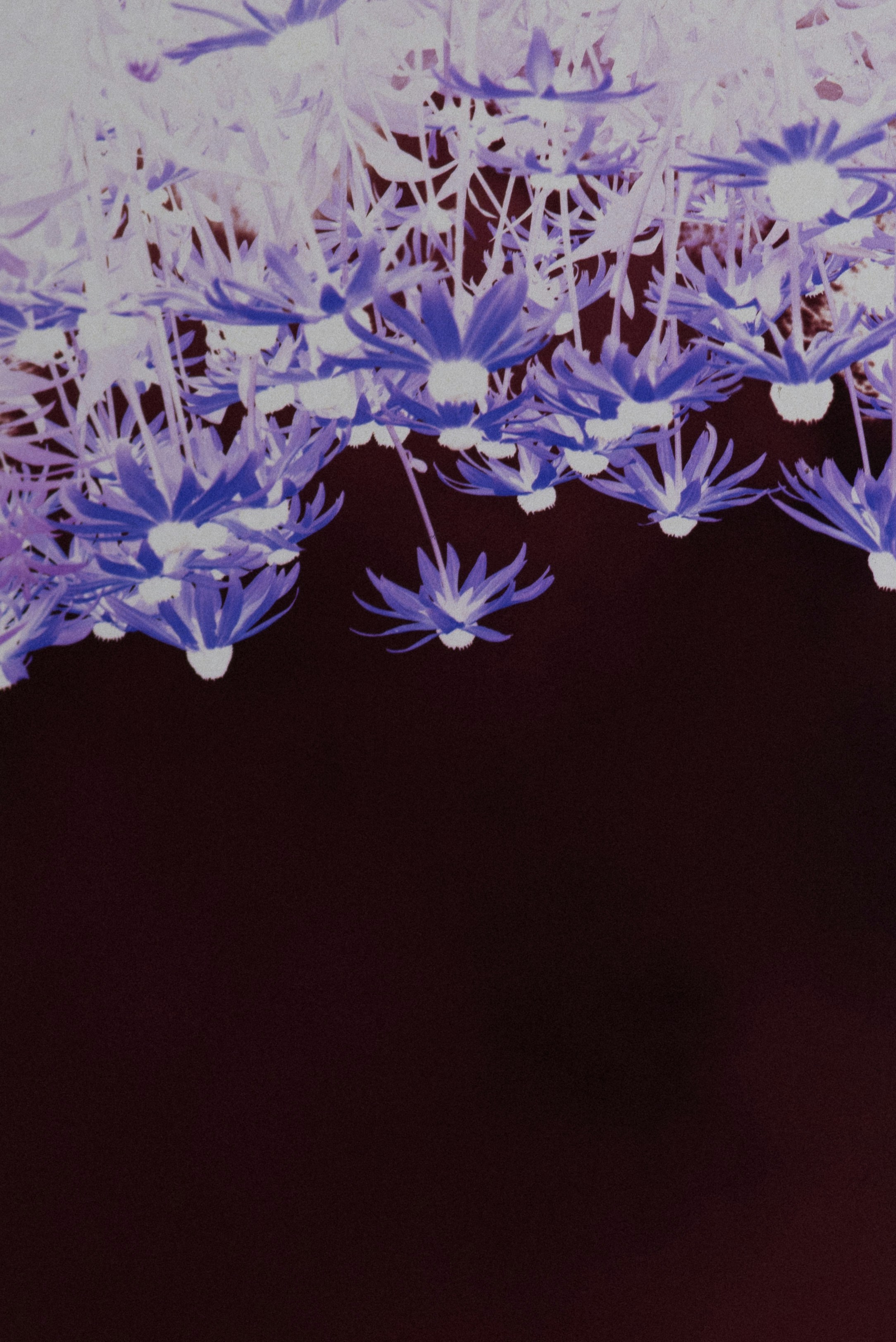 Photo by anniespratt