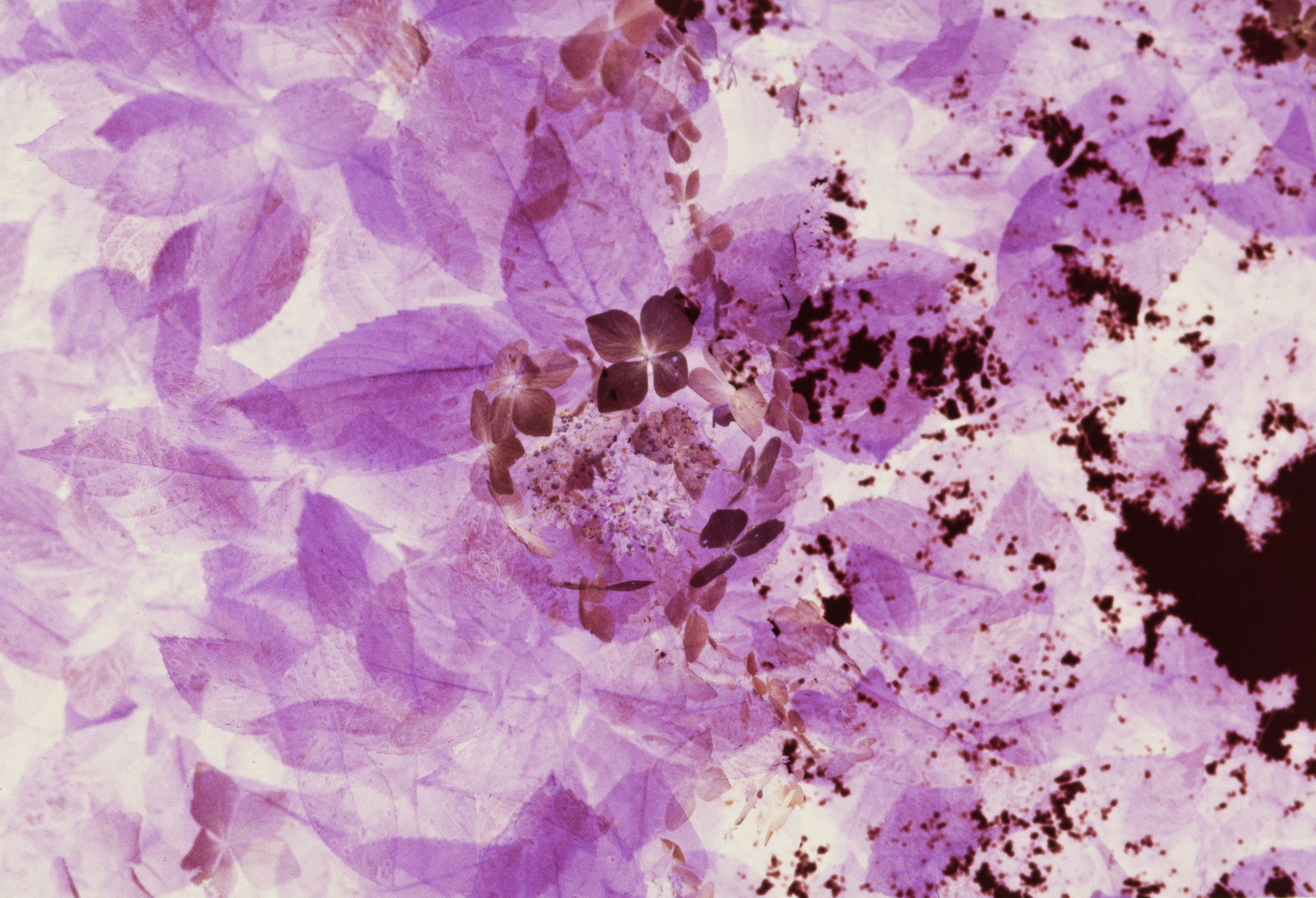 Photo by anniespratt