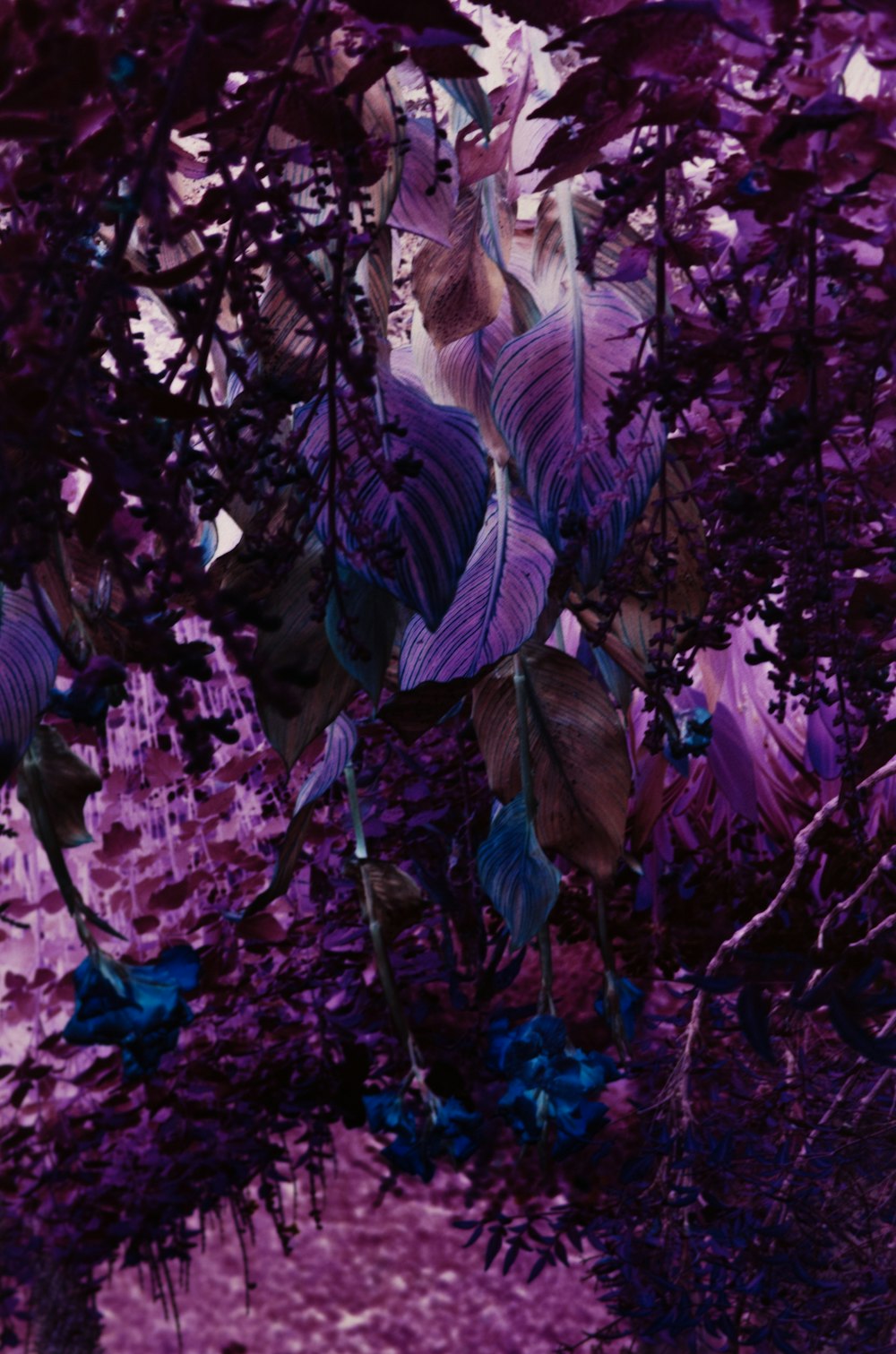 woman in white dress standing under green leaves during daytime