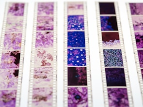 Rows of photographic film negatives with intricate, colorful patterns in shades of purple and blue. The film strips are aligned vertically with visible perforations and frame numbers.