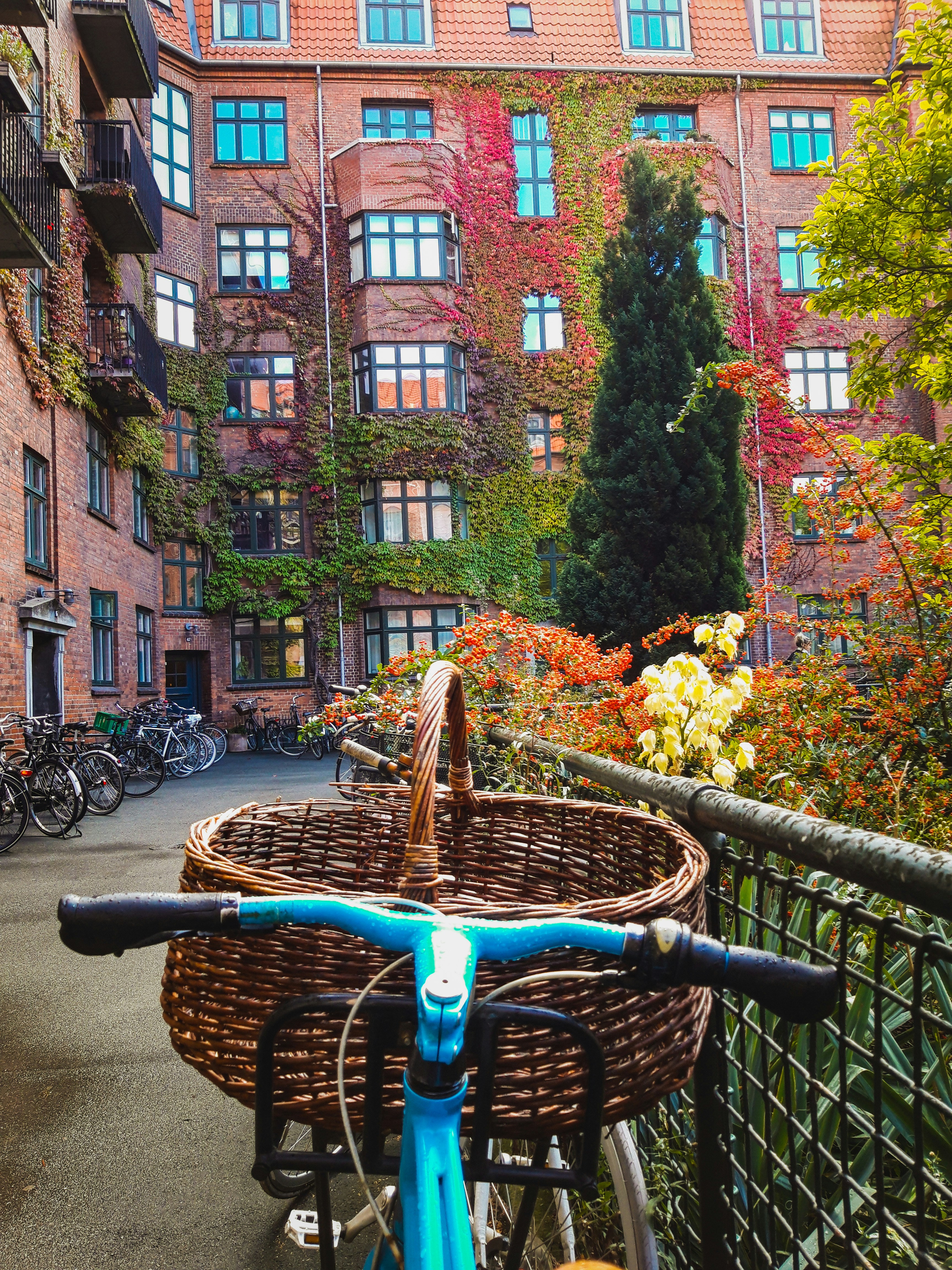 blue city bike parked beside brown concrete building during daytime
