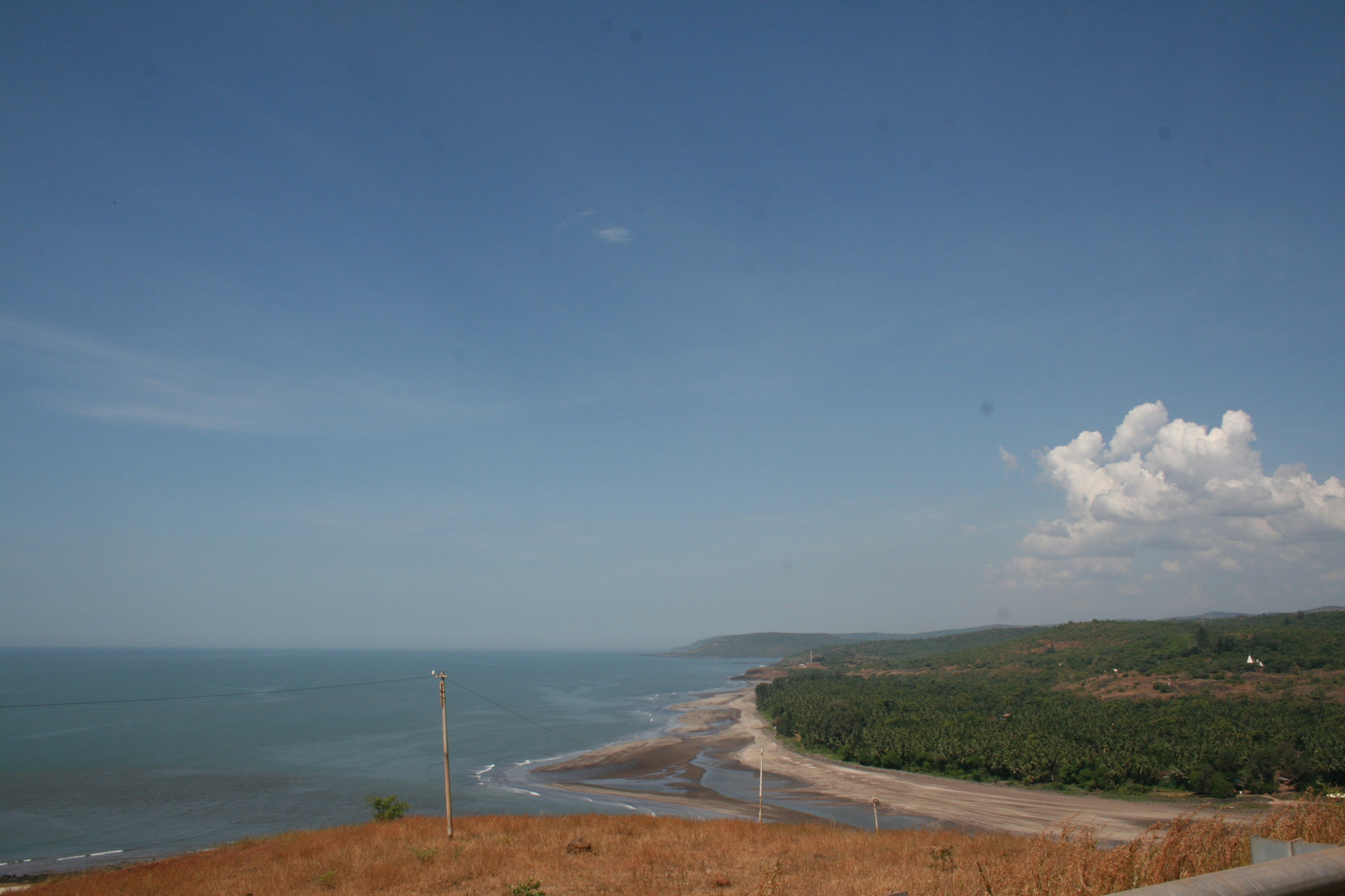 green grass field near body of water during daytime