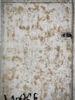 mold removal in st charles