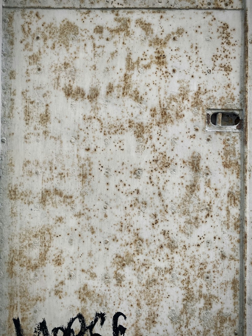 white and brown floral wall