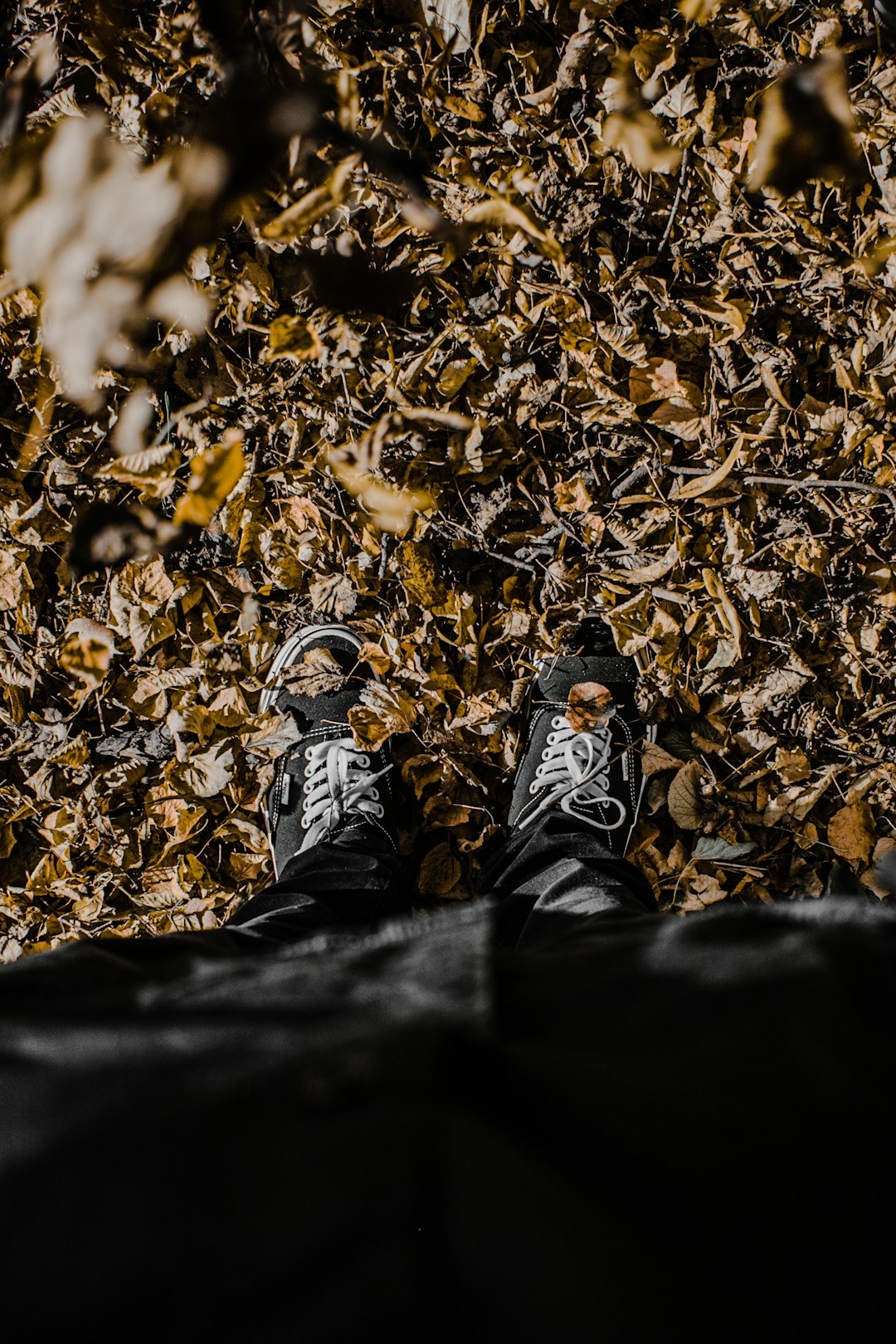 person in black pants and black and white sneakers sitting on brown dried leaves