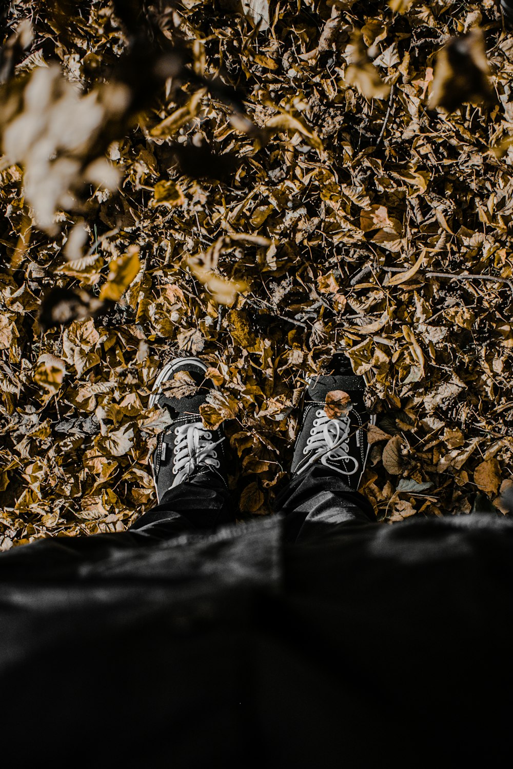 person in black pants and black and white sneakers sitting on brown dried leaves