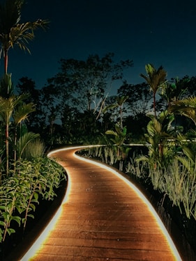 green palm trees near brown pathway