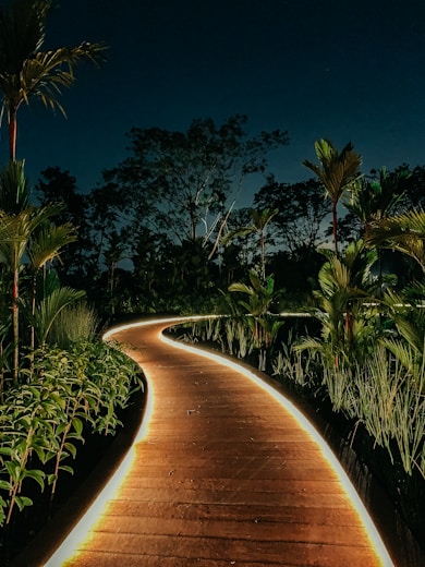 green palm trees near brown pathway