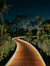 green palm trees near brown pathway