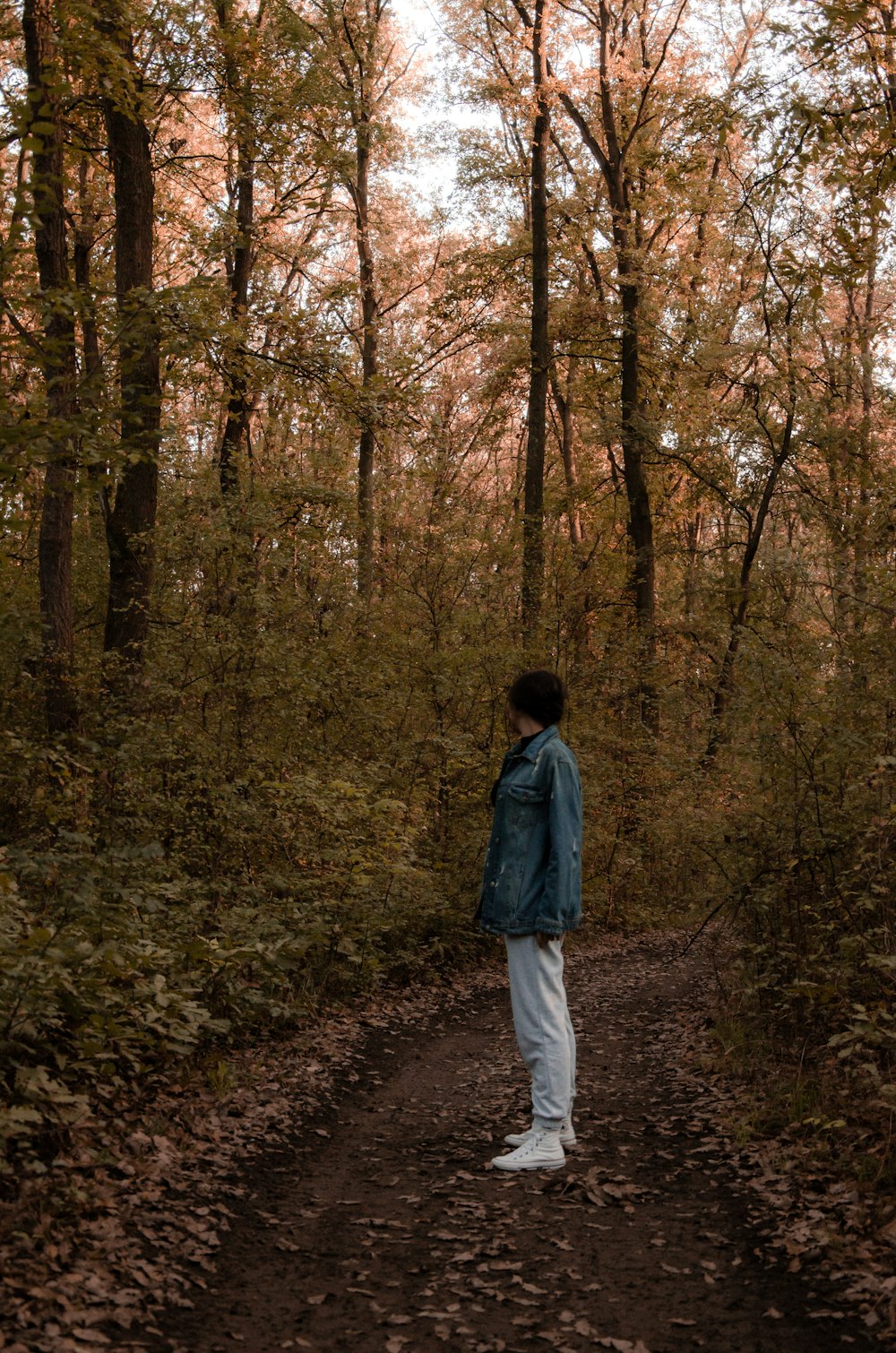 woman in blue jacket walking on forest during daytime