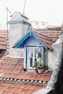 brown brick house with blue wooden window