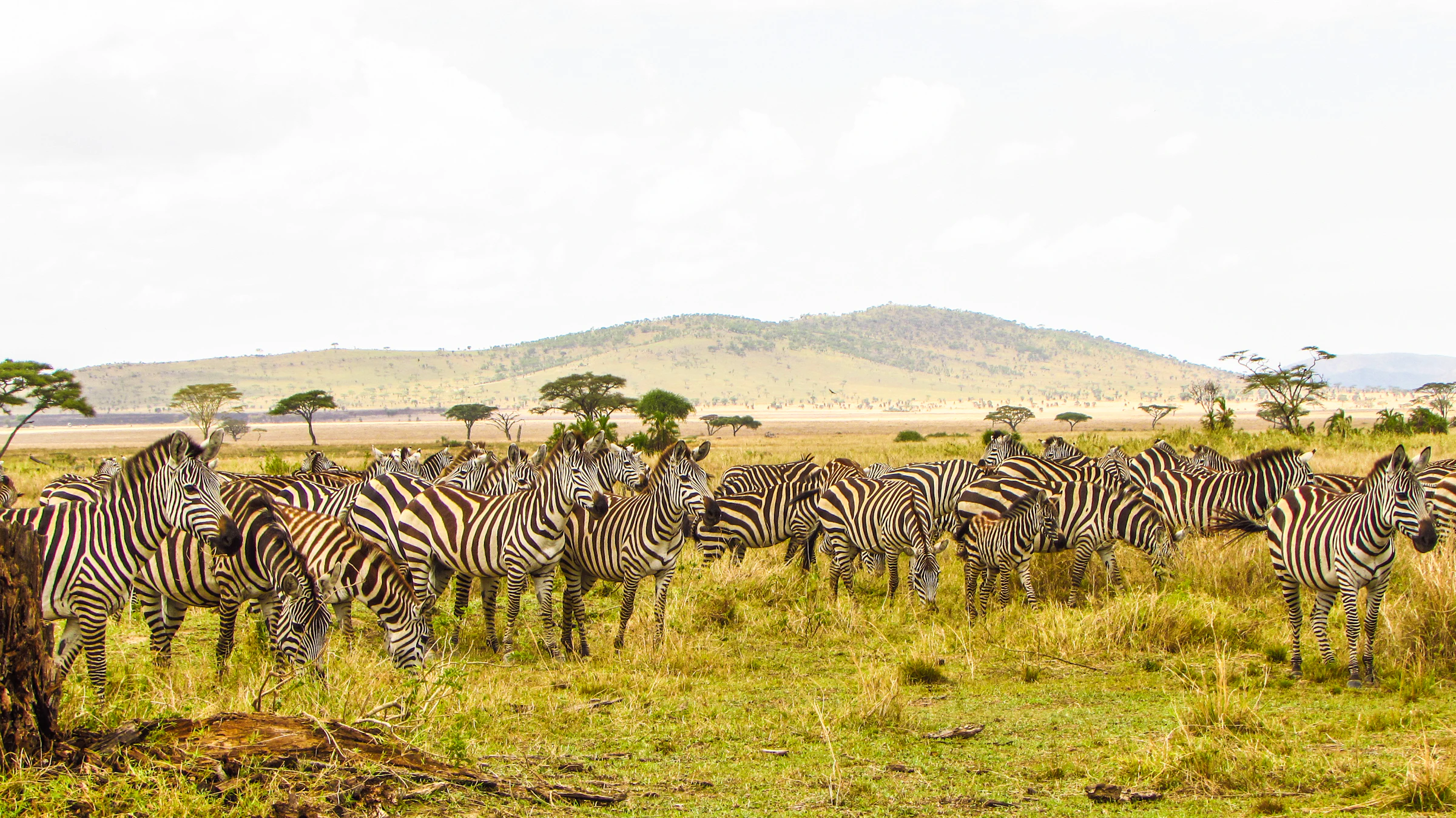 Murchison Falls National Park