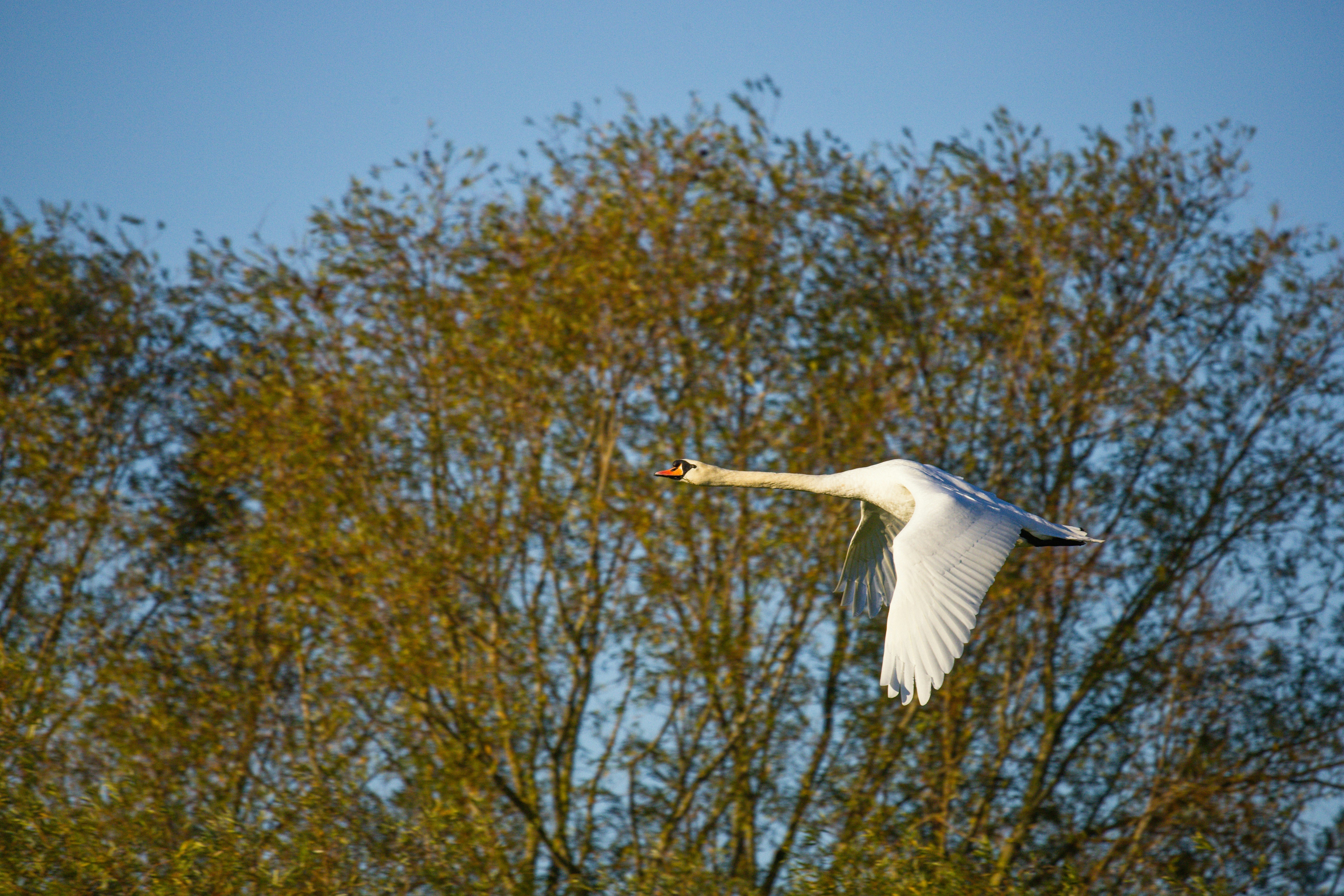 Photo by grievek1610begur