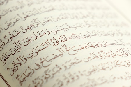 Arabic script with ornate, artistic calligraphy on the pages of an open book. The text is precise with diacritical marks, set against an off-white background.