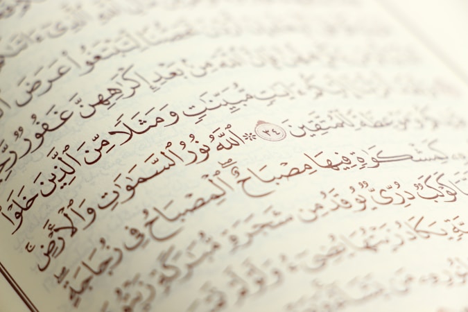 تعزيز اللغة العربية: دور مجمع اللغة العربية في باكستان