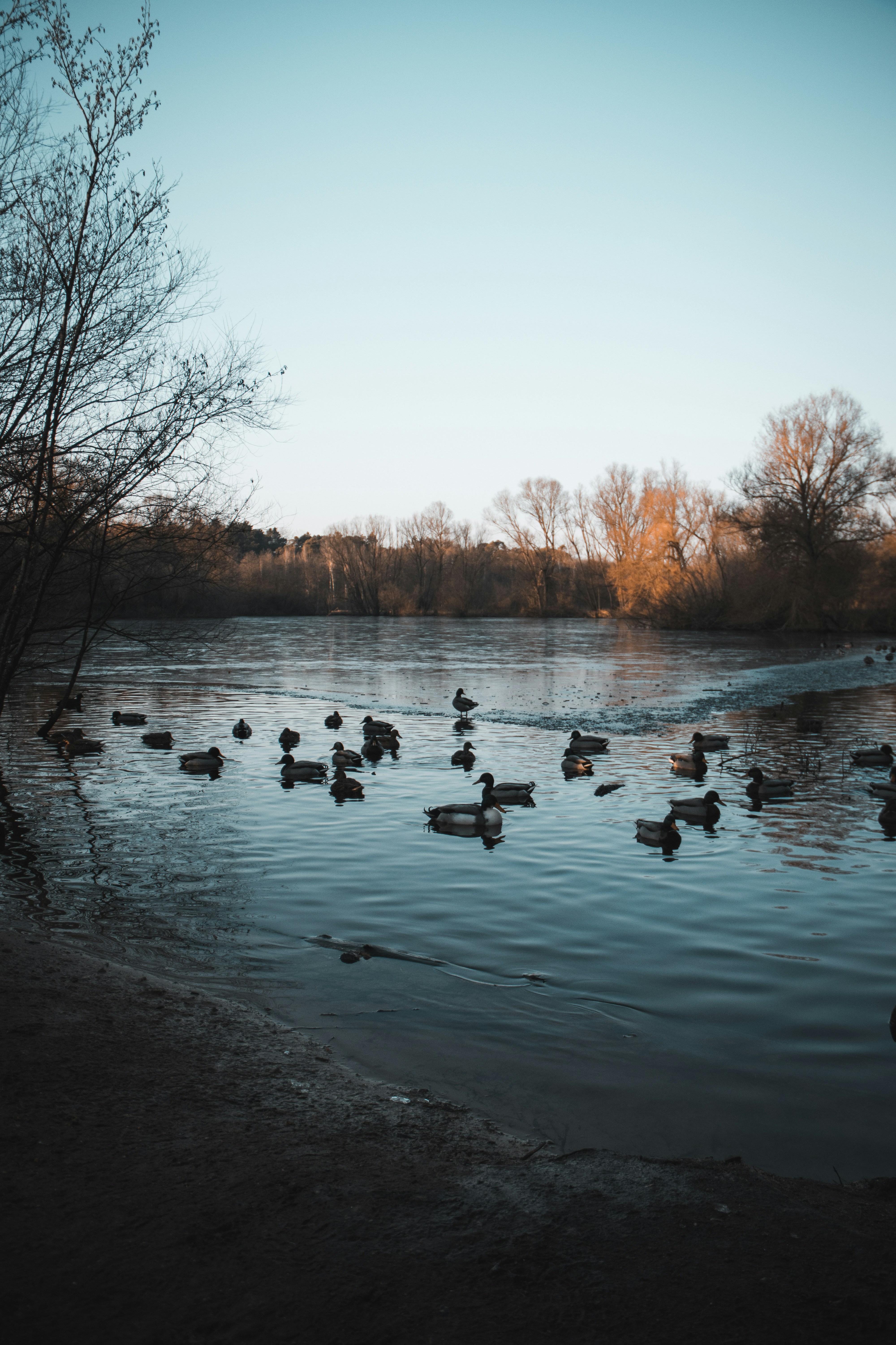 Photo by thefullframefox