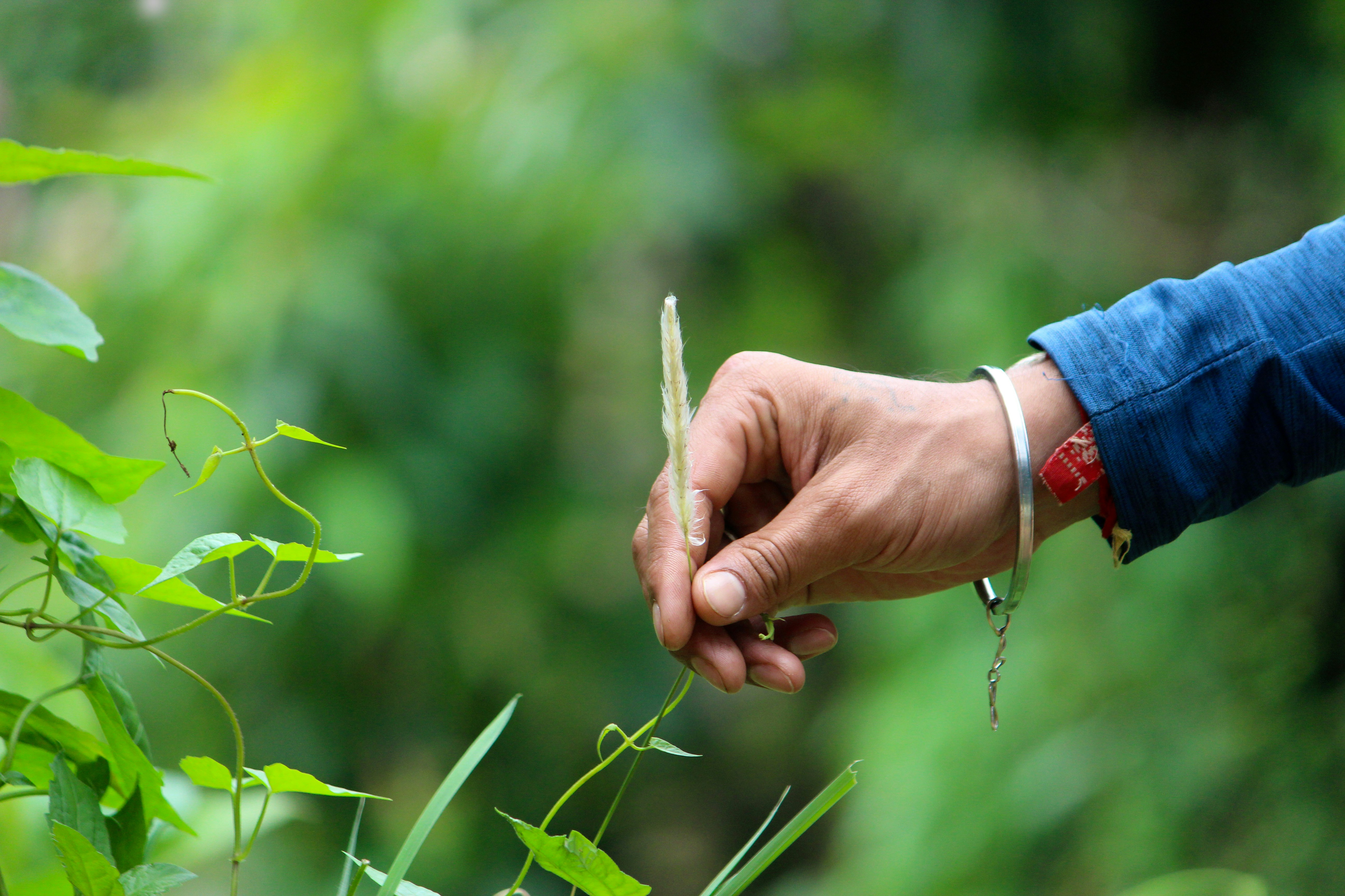 Photo by dev_bezbaruah14