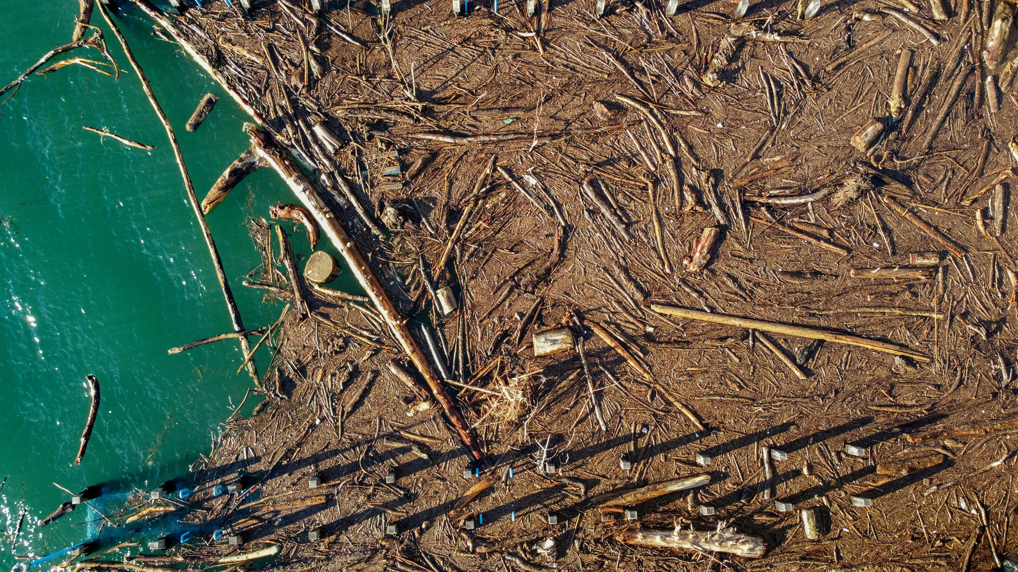 brown dried leaves on green plastic container