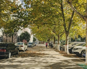 Tree-lined streets with couples and families strolling peacefully on sunny afternoons.