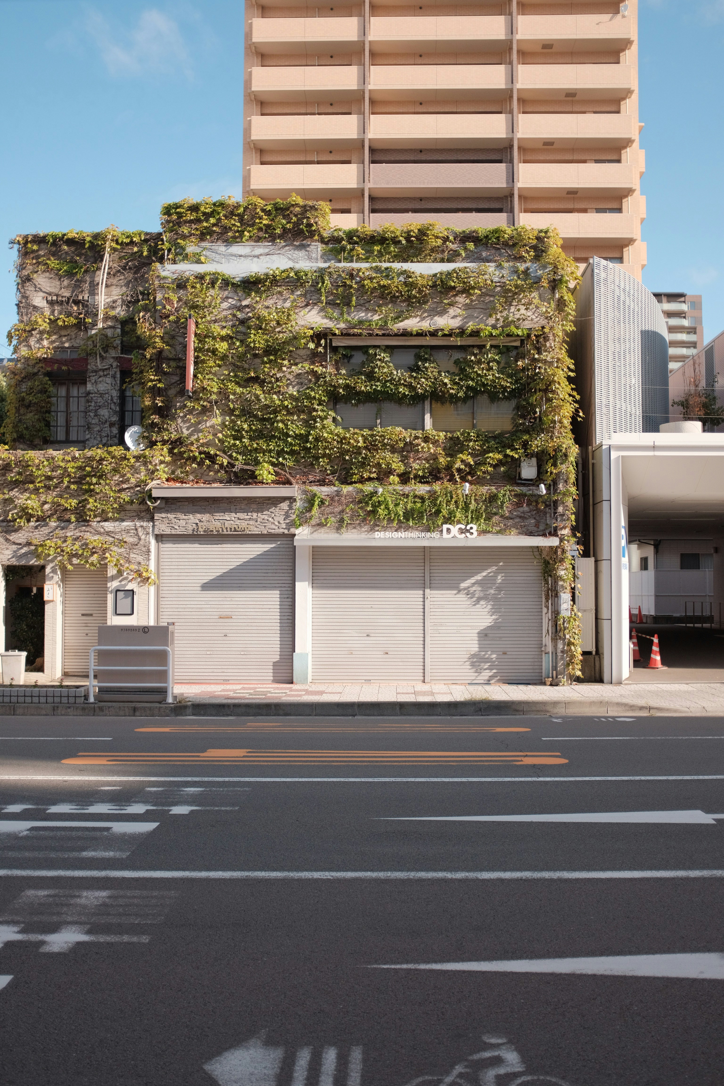 White and brown concrete building - Free Photo on Unsplash