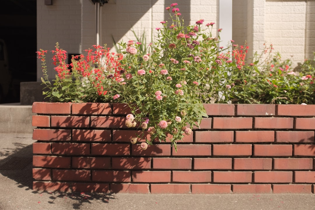 red and white flowers on brown brick wall