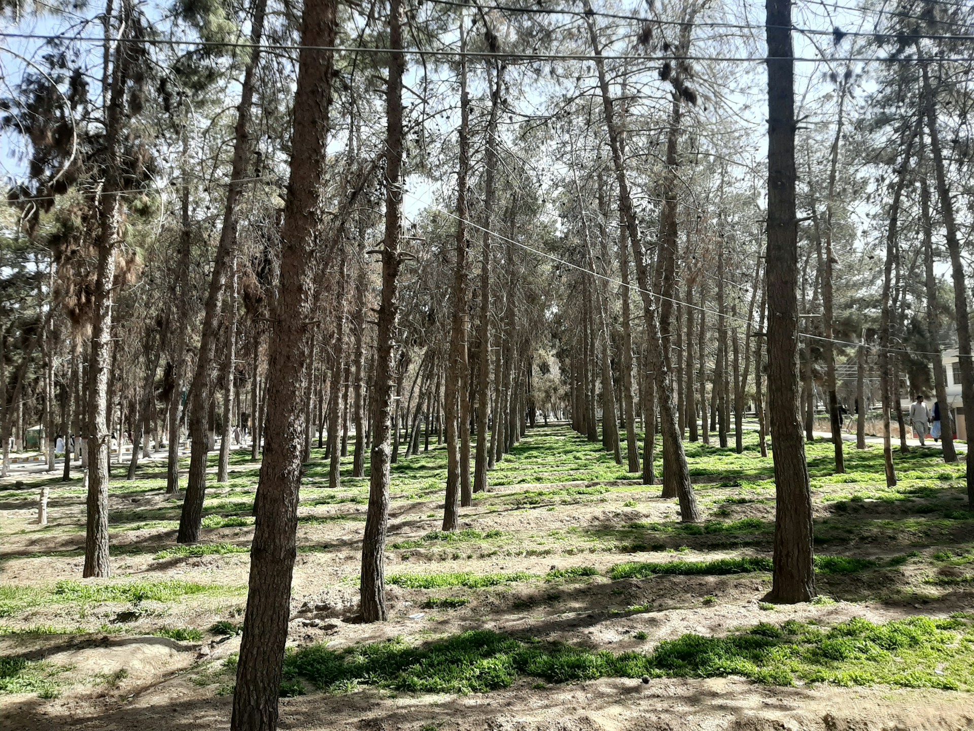 gray computer monitor