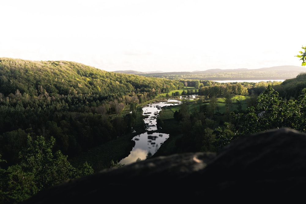 river between green trees during daytime