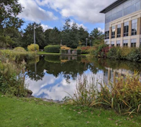 brown and white house near green trees and lake under white clouds and blue sky during