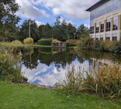 brown and white house near green trees and lake under white clouds and blue sky during