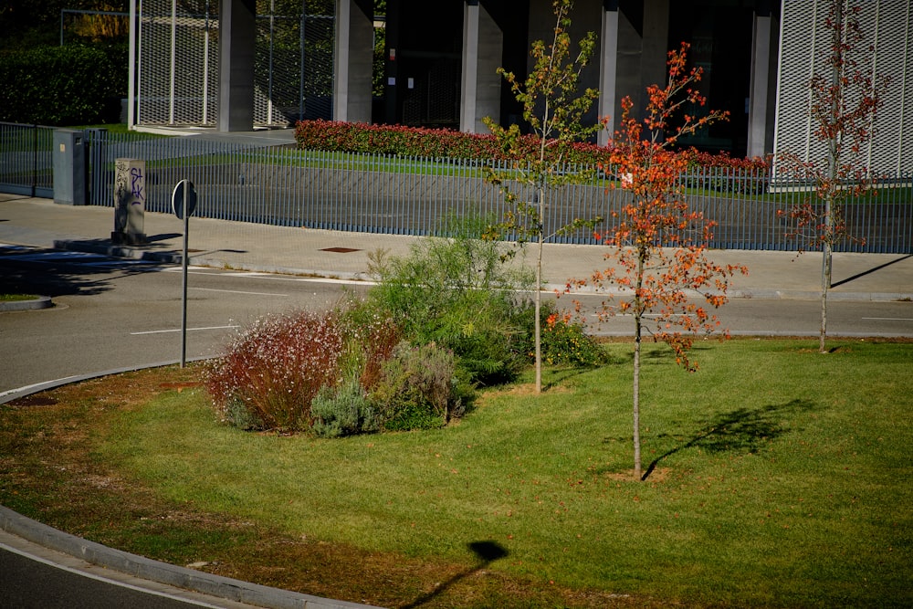 white metal fence near green grass field during daytime