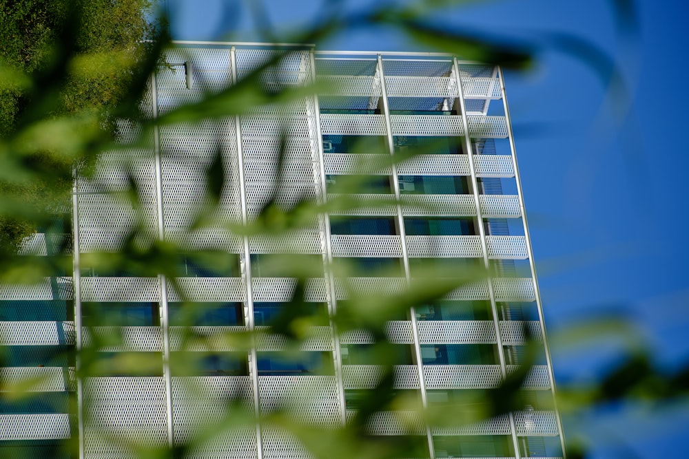 white and blue concrete building