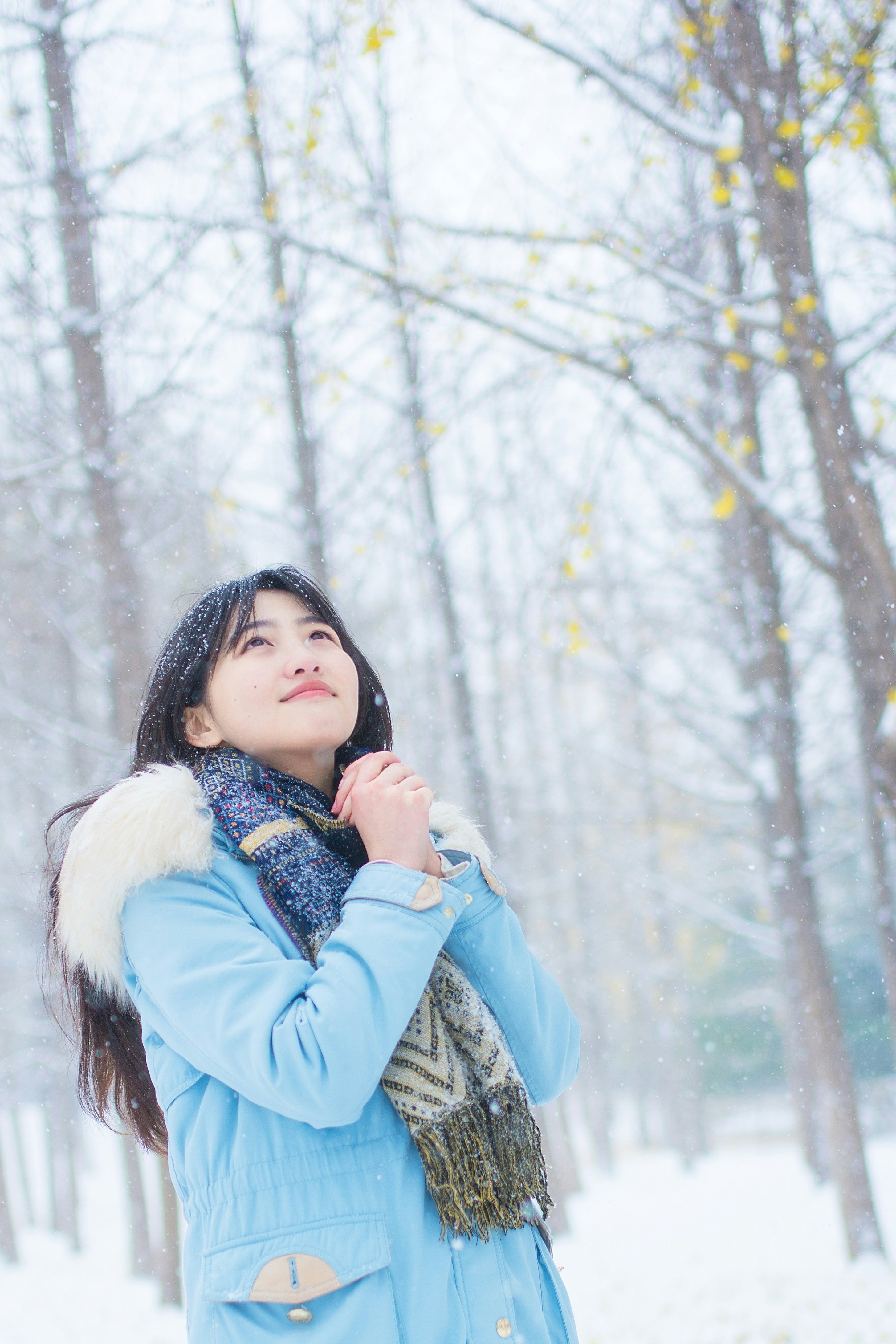 Woman in blue denim jacket standing near trees during daytime photo ...