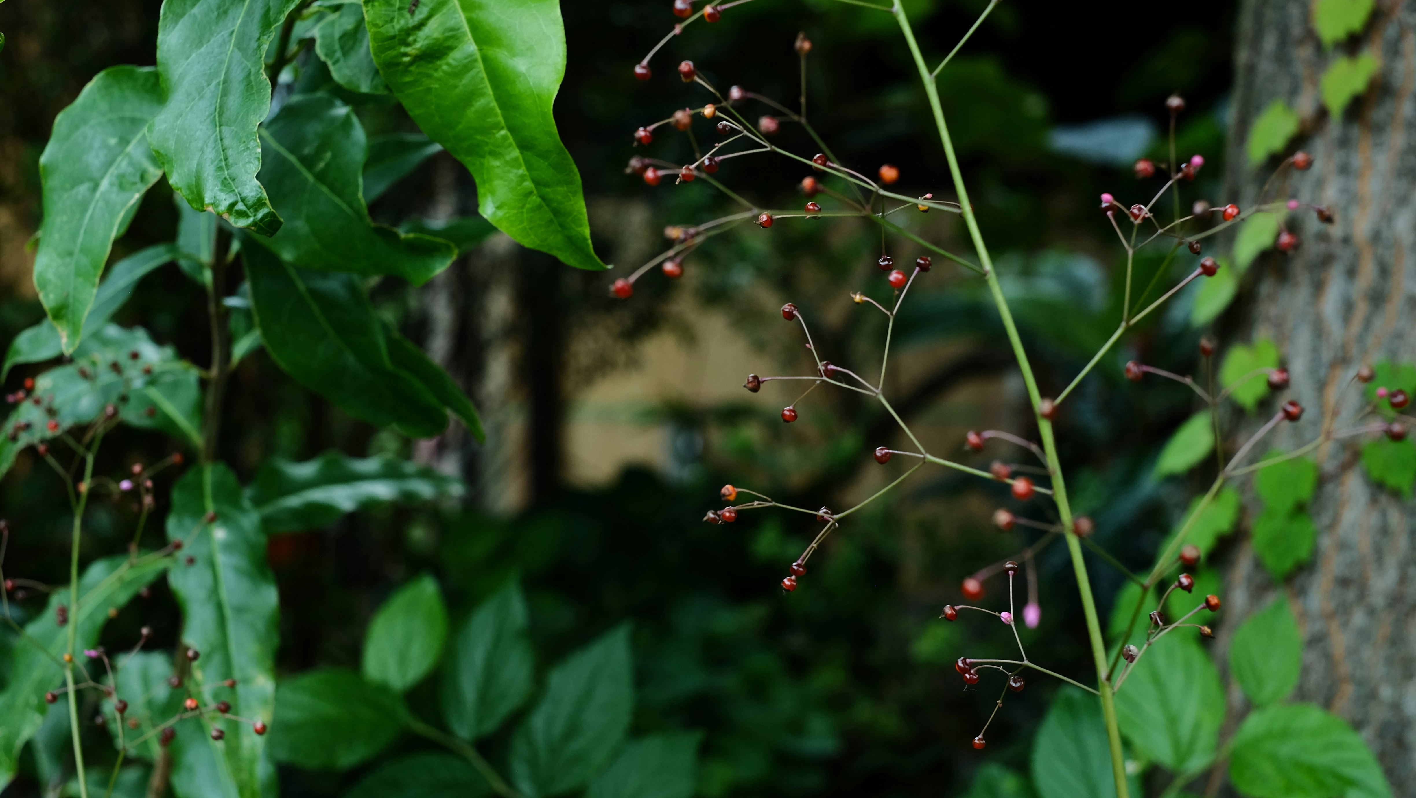 Photo by kiyomishiomura