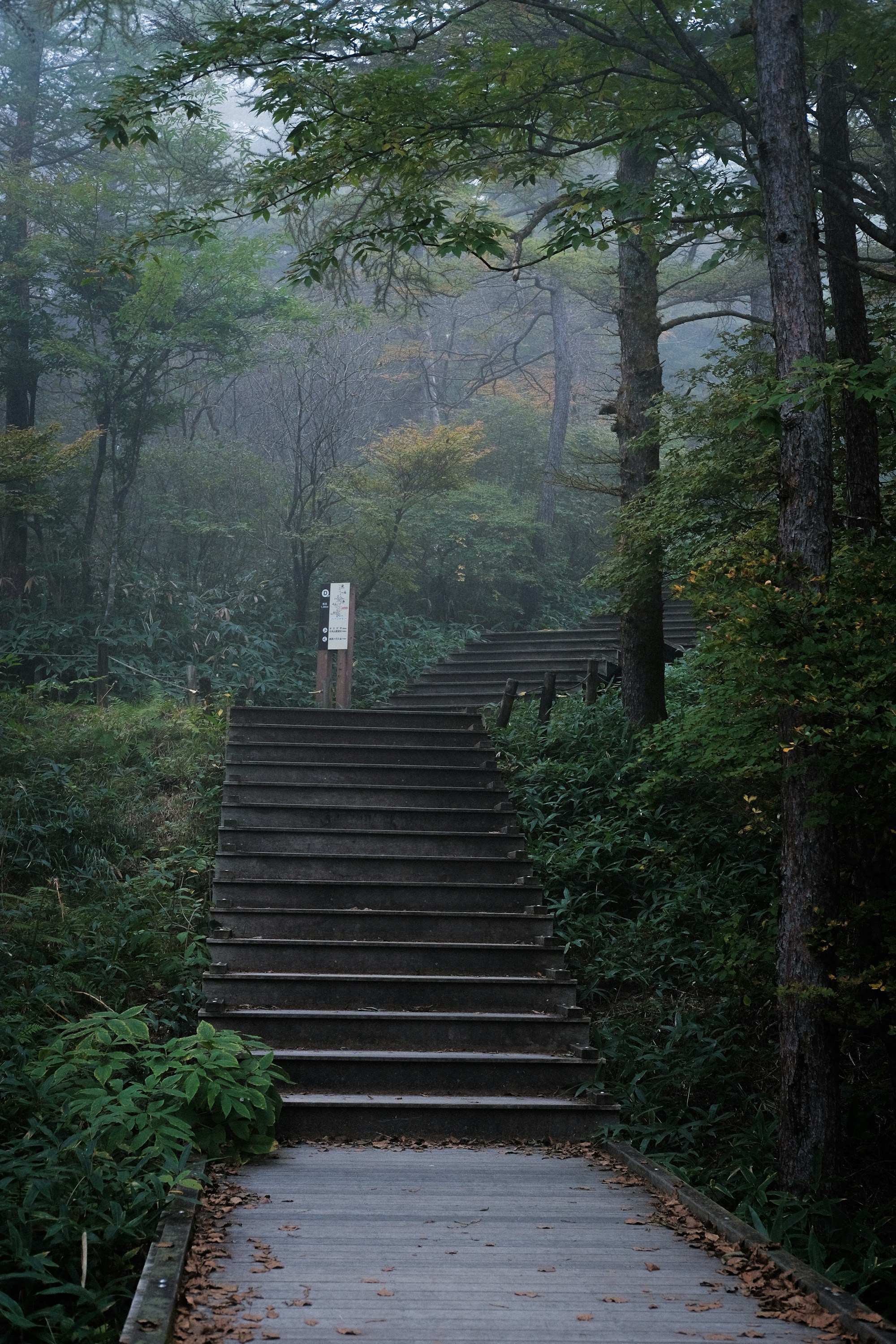 Nikko: Exploring Local Culture & Traditions