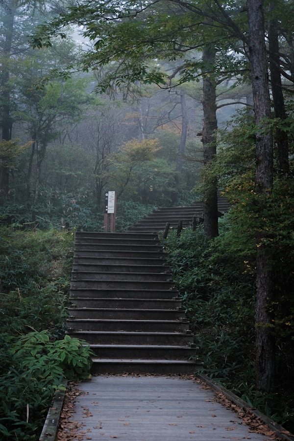 Nikko: Exploring Local Culture & Traditions