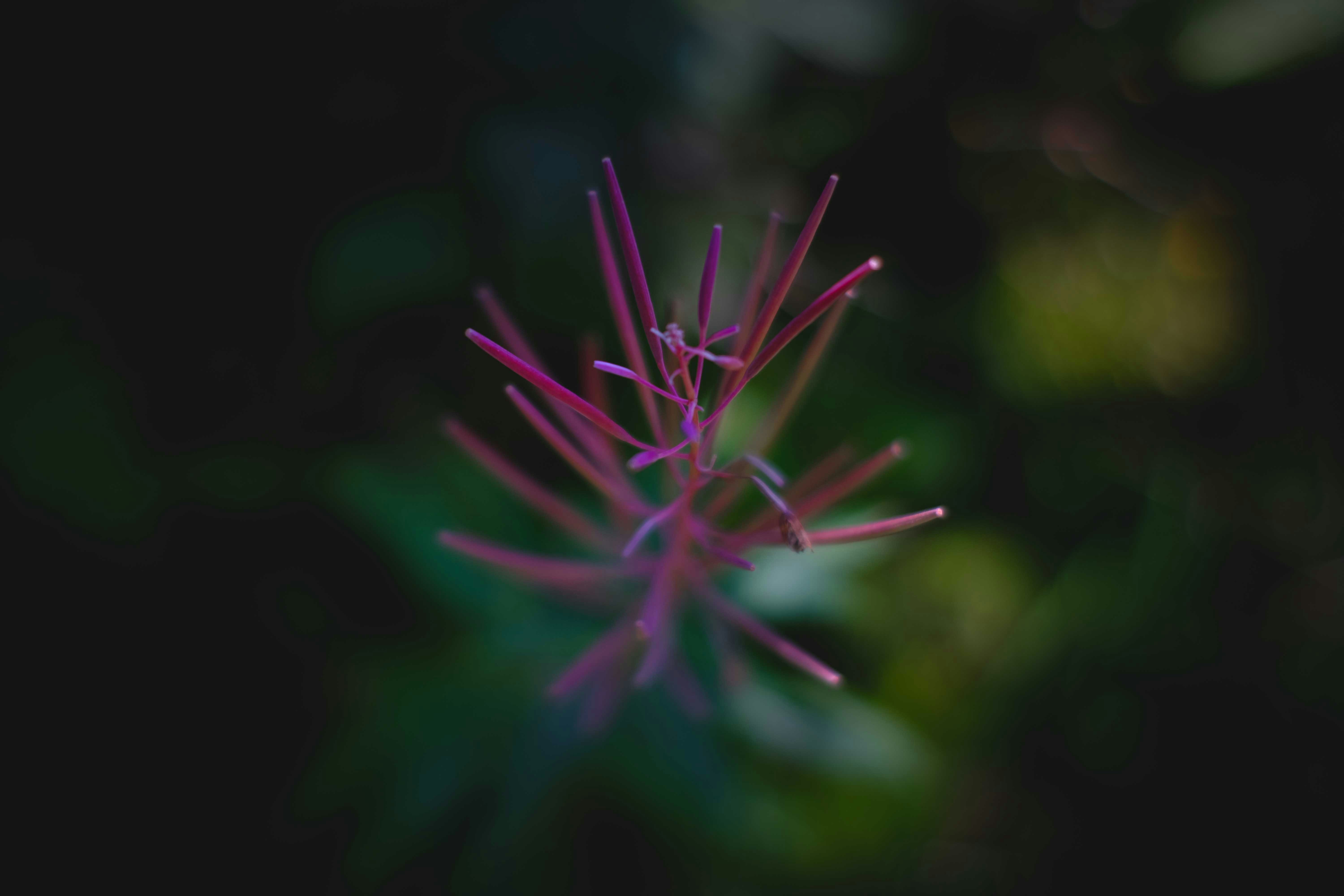 Photo by francesco_ungaro