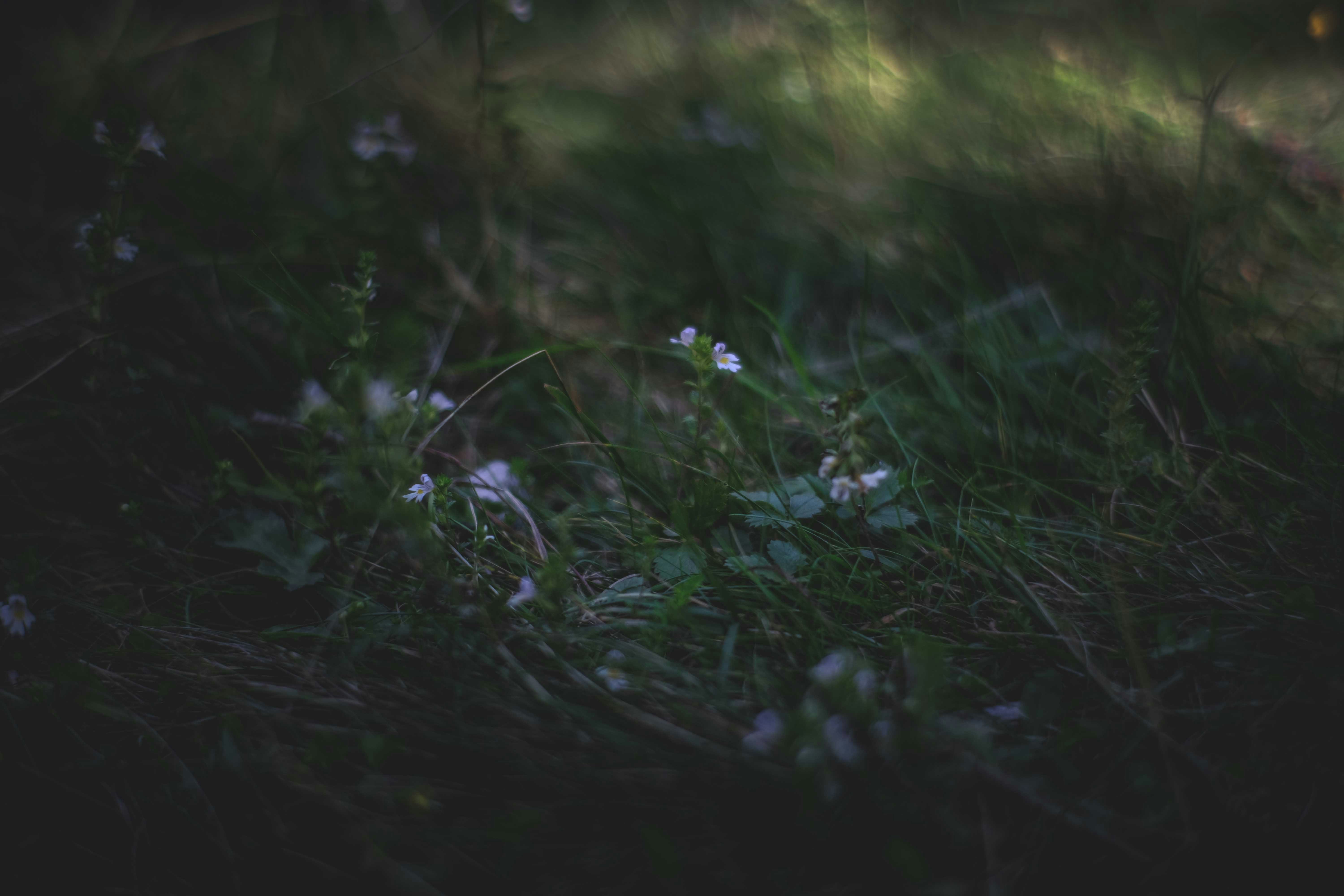 Photo by francesco_ungaro