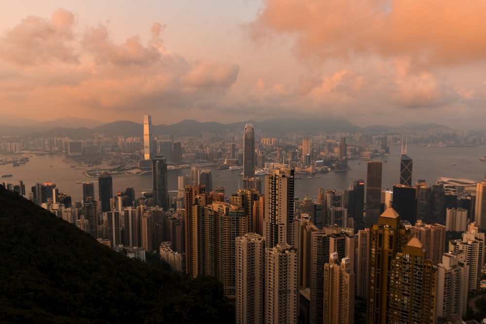 aerial view of city buildings during daytime