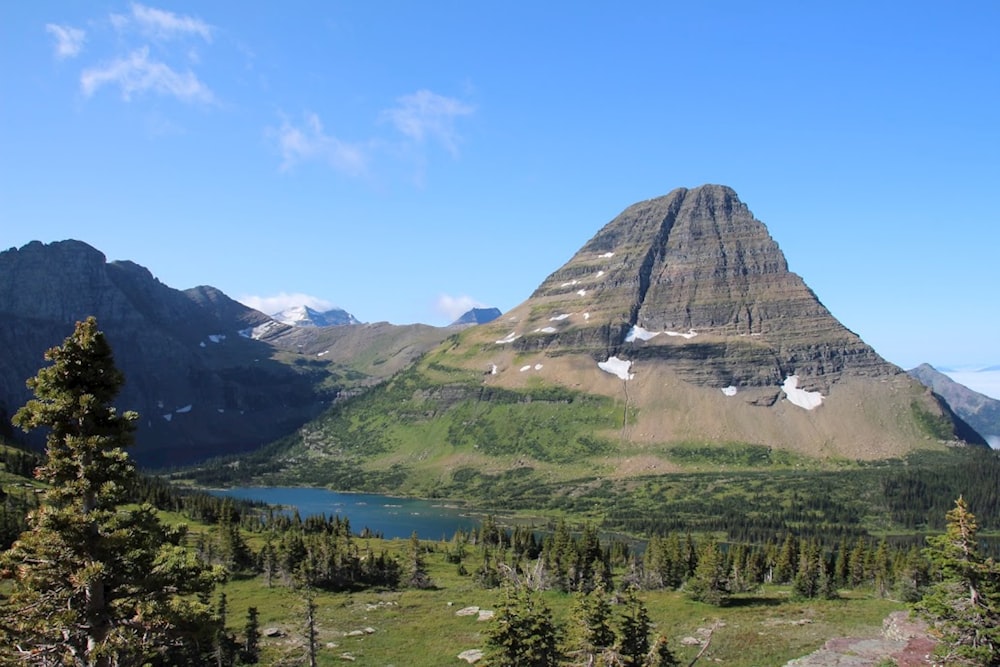 arbres verts près de la montagne sous le ciel bleu pendant la journée