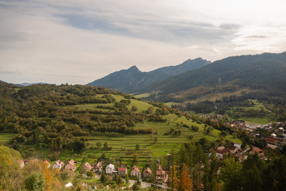 green grass field and trees on mountain during daytime