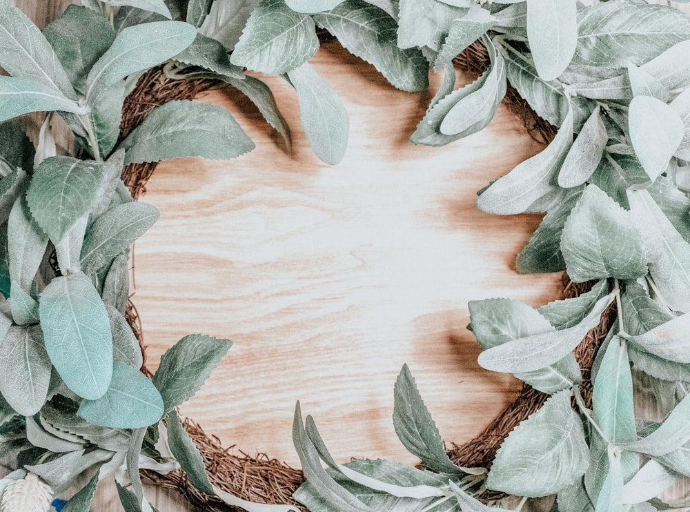 green leaves on brown wooden surface