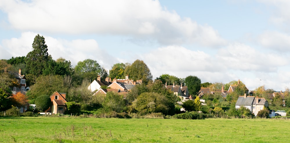 green grass field near houses during daytime