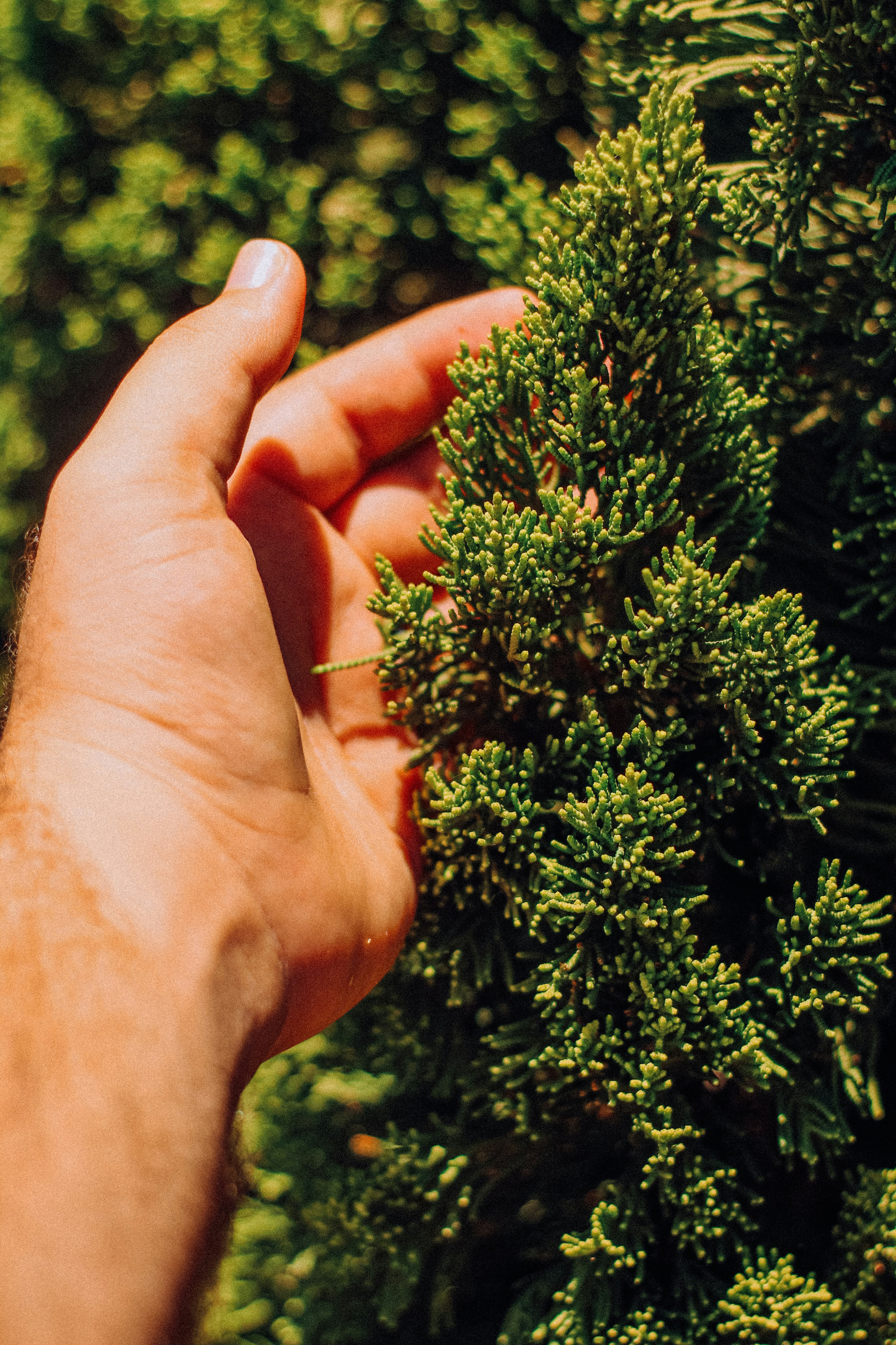 Photo by igorrodrigues