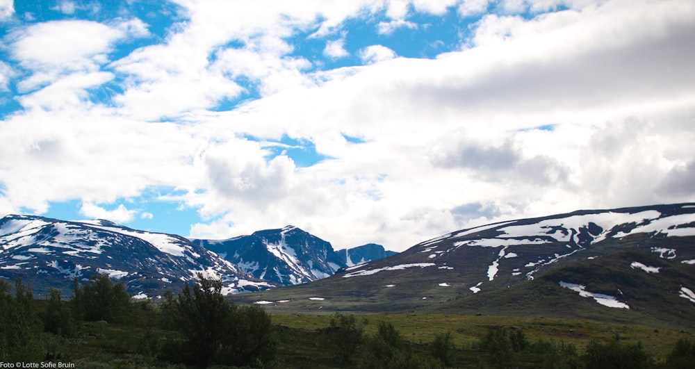 green trees and mountains under white clouds and blue sky during daytime