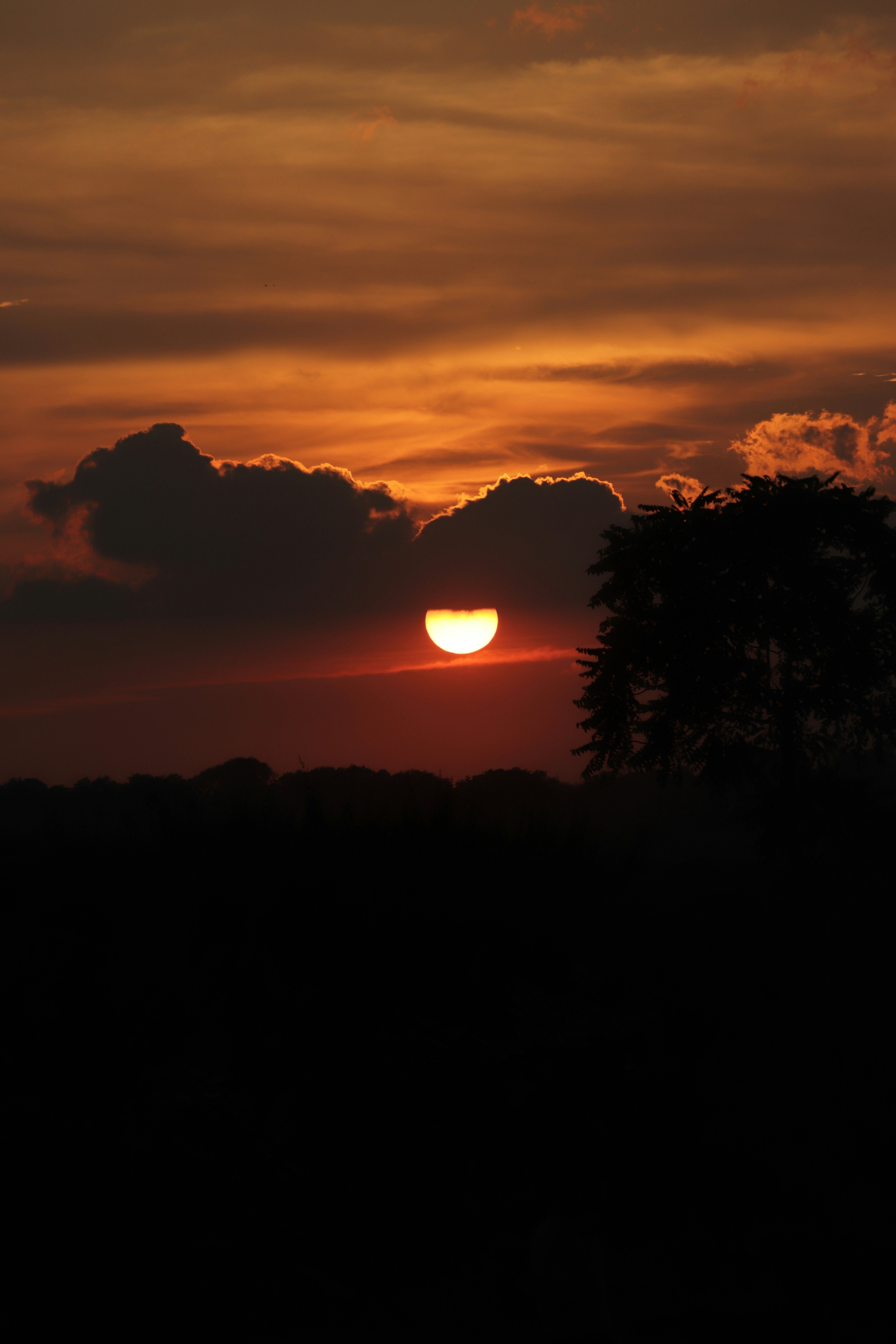 Photo by homely_homie